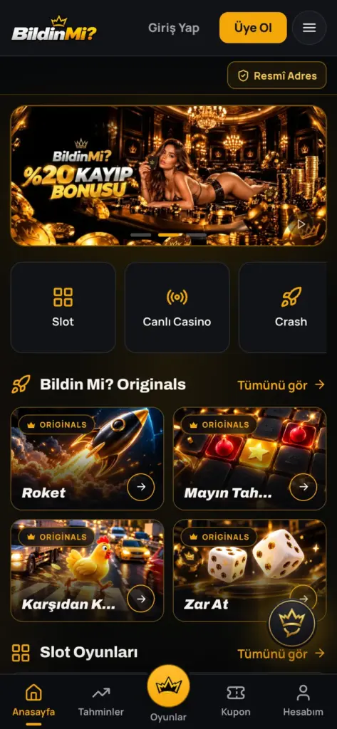 BildinMi platformundaki Resmî Adresler sayfasının mobil görünümü